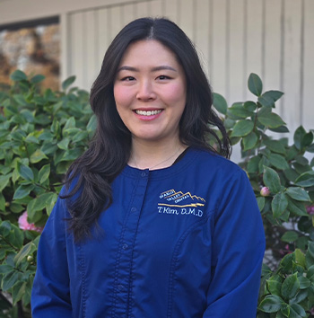 Diablo Valley Dental | Dental Fillings, Root Canals and Dental Bridges